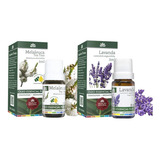 Kit Óleo Essencial Lavanda E Melaleuca (tea Tree) Wnf