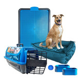 Kit Pet Caminha Cama Confort Transporte Sanitário G Porte