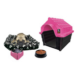 Kit Pet Casinha Colchonete Bebedouro Comedouro