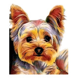 Kit Pintura De Diamante 5d Diy 30x40 Cachorro Yorkshire