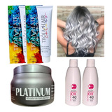 Kit Platinum Para Cabelo Loiro Platinado 2 Tinta 2 Ox 1 Mati