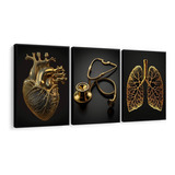 Kit Quadros Decorativos Medicina Coração Consultório Moldura