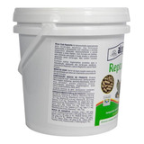 Kit Ração Alcon Club Reptolife 1kg