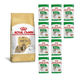Kit Ração Shih Tzu Adult 2,5kg E 10 Sachês Mini Royal Canin