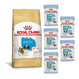 Kit Ração Shih Tzu Puppy 1kg E 5 Sachês Mini 85g Royal Canin