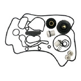 Kit Reparo Bomba Arla 32 Cummins Emitec Vw 19-330 E 31-390