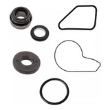 Kit Reparo Bomba D'água Original Kawasaki