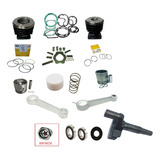 Kit Reparo Completo P/compressor Wayne Wtv 20g - 2pol X 90mm