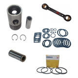 Kit Reparo Compressor 60 Pcm Wayne/chiaperini Itens Diversos