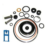 Kit Reparo Vedação Completo Prensa 30t Bovenau C/molas