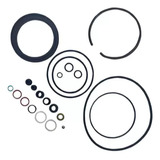 Kit Reparo Vedação P/ Prensa 60 Ton Bovenau C/oring Original