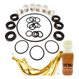 Kit Reparos Completo + Oleo Para Wap Mini Antiga