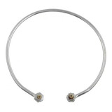 Kit Resistência Inox Autoclave Vertical Phoenix 137/150