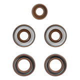 Kit Retentores Rabeta Motor Popa Johnson Evinrude 9.9-15 Hp