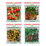 Kit Sementes D Pimentas Variadas P/ Plantio D Mudas + Brinde