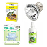 Repteis
