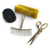 Kit Tesoura, Escovão, Raspadeira De Borracha E Pente