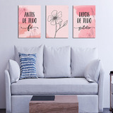 Kit Três Quadrinhos Delicados Decoração Casa Sala 20cmx30cm