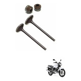 Kit Válvula Admissão + Escape Retentores Dafra Riva 150