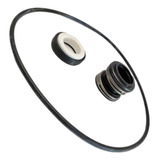 Kit Vedação P/bomba Dancor Ap-2r (selo Mecânico +oring)