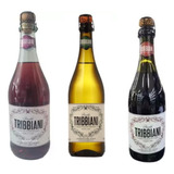 Kit Vinhos Italianos Lambrusco - Tinto,