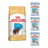 Kit Yorkshire Puppy 2,5kg E 3 Sachês Mini 85g Royal Canin