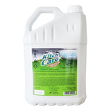 Kitch Care Detergente Desincrustante Alcalino 5 Litros