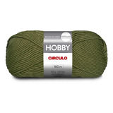 Lã Hobby 100g Círculo S/a Cor
