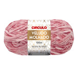 Lã Veludo Molhado Círculo 100g - Kit 2 Unidades 