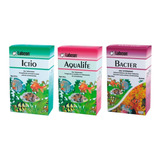 Bacter