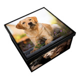 Labrador - Caixa Decorativa Organizadora Em