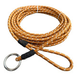 Cavalo