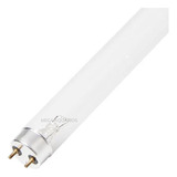 Lampada 18w A 20w T8 Uv