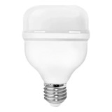 Lâmpada Bulbo Led 50w Para Pavilhao Luz Branca Fria 6500k Luz Branco-frio 110v/220v