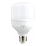 Lâmpada Bulbo Led Ence T70 30w E27 6500k G-light Cor Da Luz Branco-frio 110v/220v