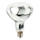 Lâmpada Conservador De Batatas E Frituras Ourolux 220v Cor Da Luz Branco-frio