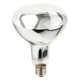 Ourolux/220v