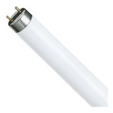 Lampada Fluorescente T8 36w 840 4000k