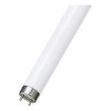 Lampada Fluorescente Tubular 36w T8 Activa