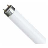 Lâmpada Fluorescente Tubular 40w T10 5000k - Philips Cor Da Luz Branco Frio 5000k Voltagem 110v/220v