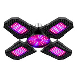 ,bivolt