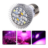 Lâmpada Led Grow 28w Cultivo Indoor Full Spectrum 110/220v