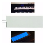 Lampada P/ Display Teclado Korg 01 R/w Frete Gratis