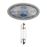 Lampada