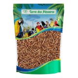 Larva De Tenébrio Comum Desidratada - Pequeno - 1kg