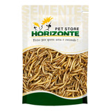 20g