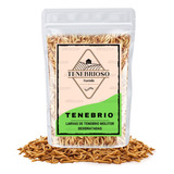 Larvas De Tenébrio Comum Desidratada - 30g