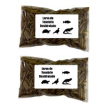 Larvas De Tenebrio Molitor Peixes Carnívoros 30g Kit 2
