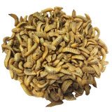 Larvas Desidratadas De Bsf Bichinho Da Laranja 200g