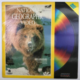 Ld Laserdisc National Geographic Video The Grizzlies - Kc